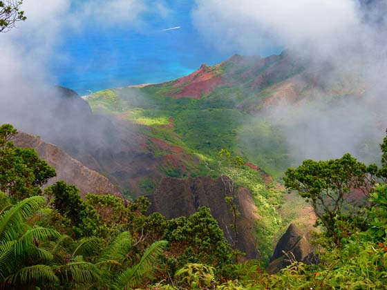 Koke'e State Park 
 Overcast sky that day 
 It cleared up for a few seconds, just enough time to snap the photo